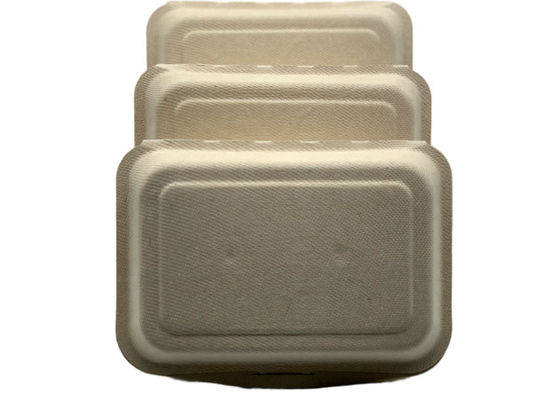 Biodegradable 7 ×5 Inch Bagasse Clamshell Containers 20g