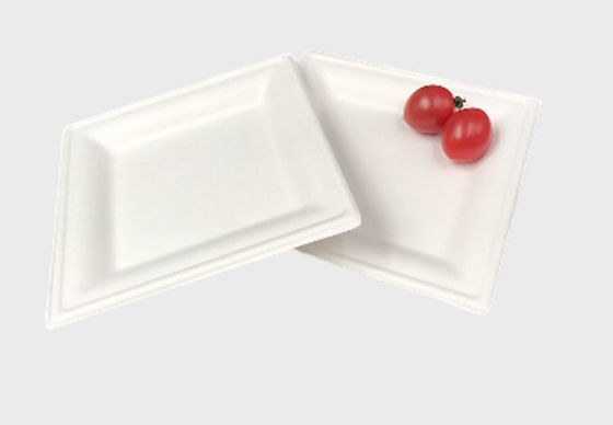 Disposable Dinnerware 10 Inch Square Sugarcane Pulp Plates