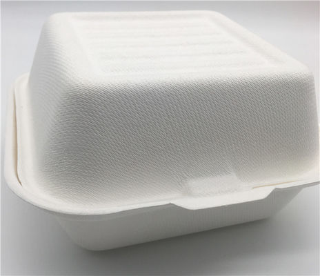 Bento   6x6 Inch 21g  Biodegradable Boxes For Food